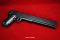 gun