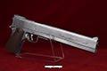 gun